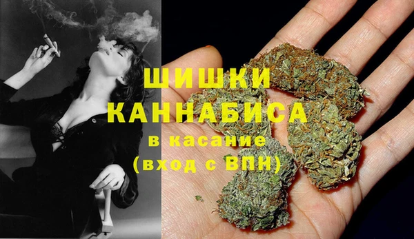 прущие крисы Арсеньев
