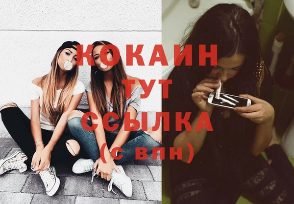 твердый Аркадак
