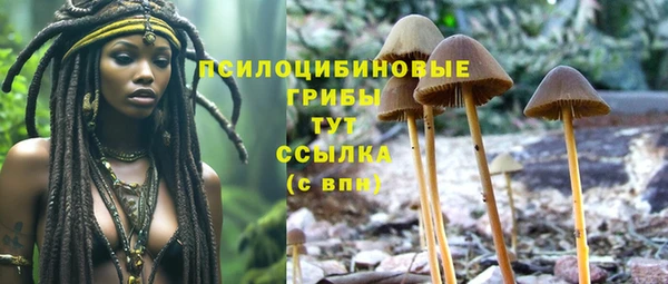 МДПВ Покачи