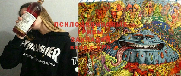 прущие крисы Арсеньев