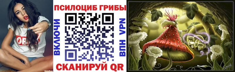 купить наркотик  Оха  hydra онион  Псилоцибиновые грибы GOLDEN TEACHER 